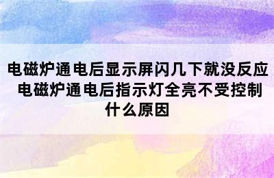 电磁炉通电后显示屏闪几下就没反应 电磁炉通电后指示灯全亮不受控制什么原因